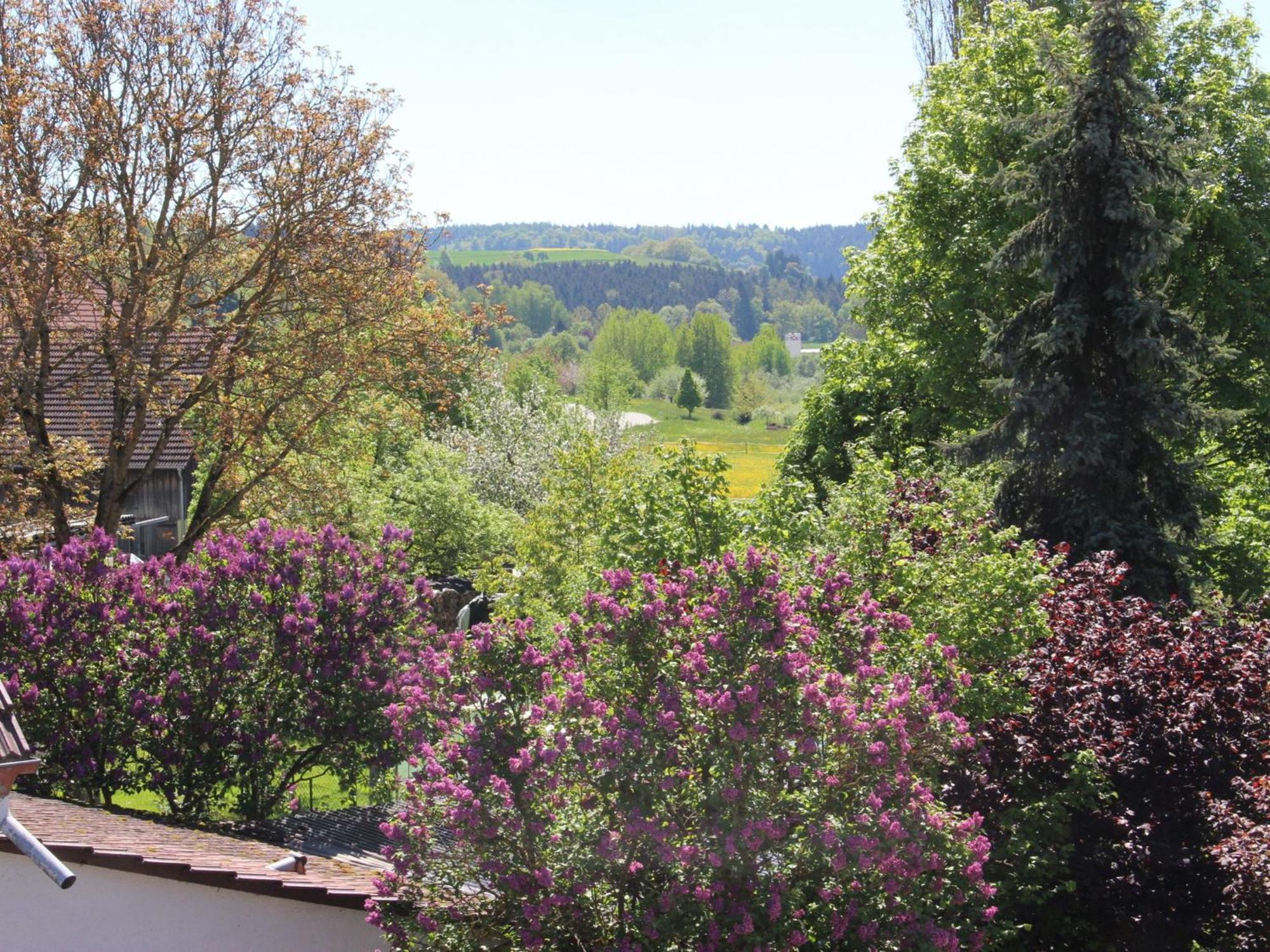 Vronis Appartement *