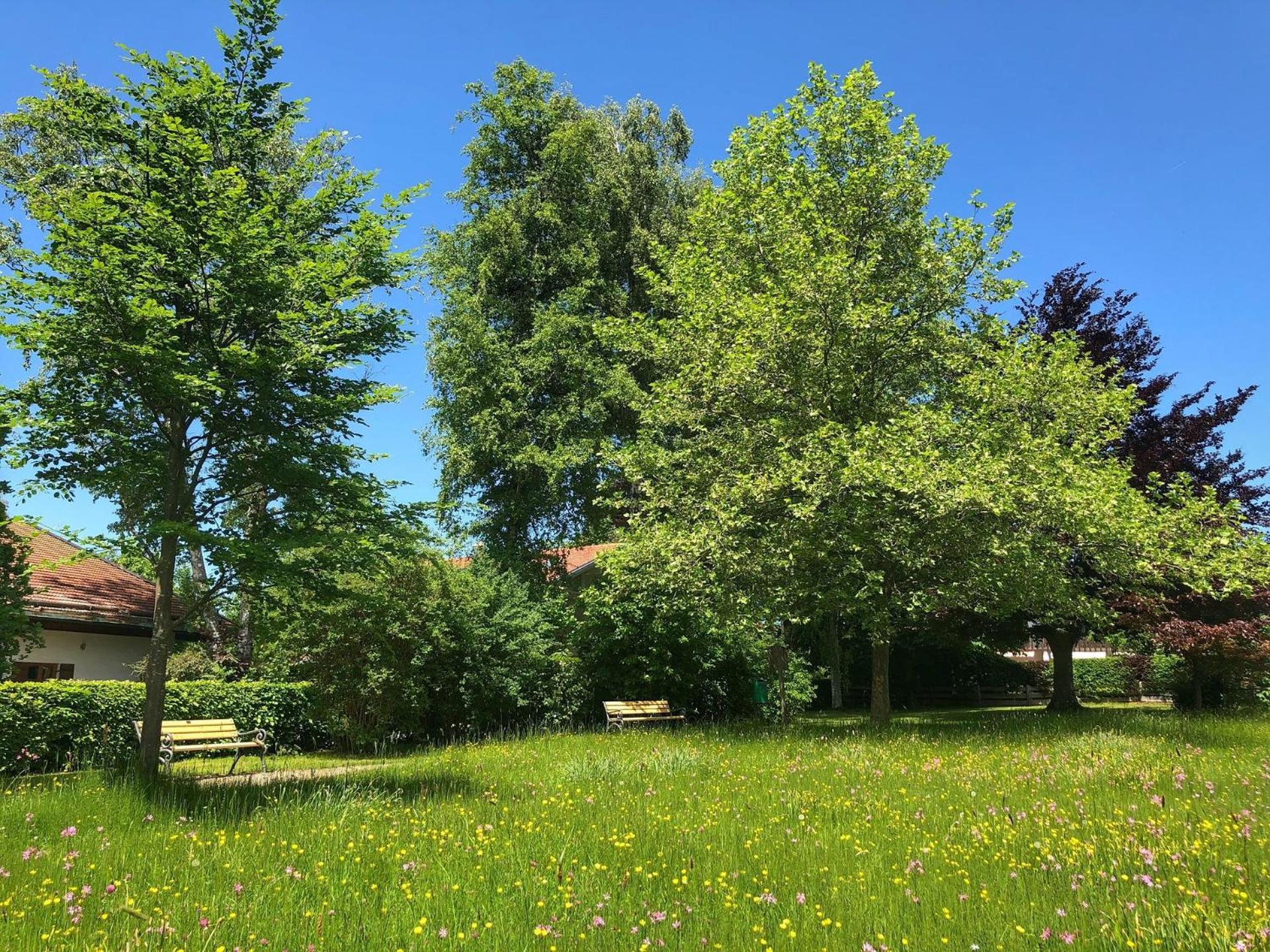 Appartement Vronis Muhlingen